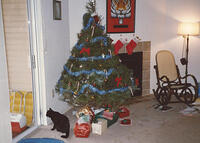 cmas1986 (4)