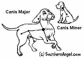 canis major