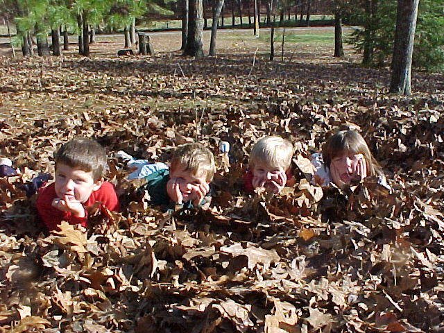 playing in the leaves