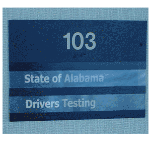 ashley and her beloved driver's license