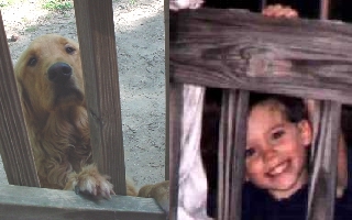 let me out!