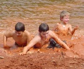 mud bugs