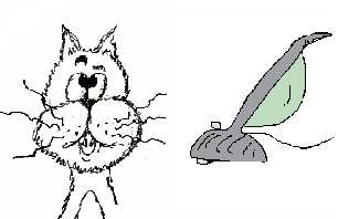 mmmeeeeeooooooooooowwww at the vacuum