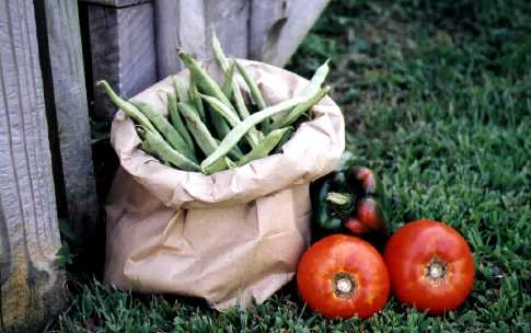 garden bounty